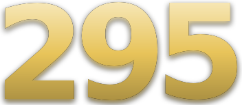 295 logo